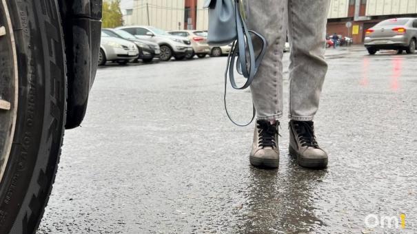 Женщина в сером. Почти неделю волонтёры ищут бесследно пропавшую омичку