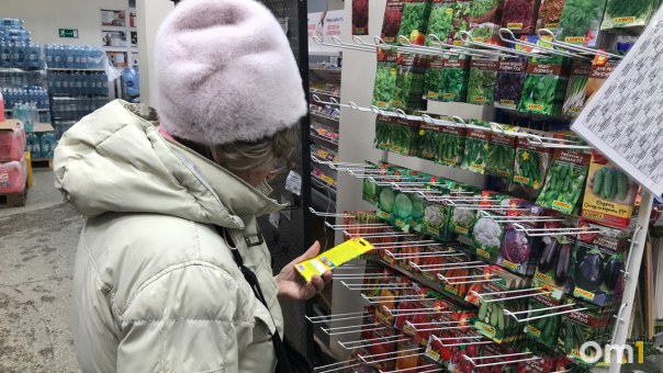 Успеть до лета: какую рассаду посадить в феврале-марте, рассказала новосибирский агроном Шубина