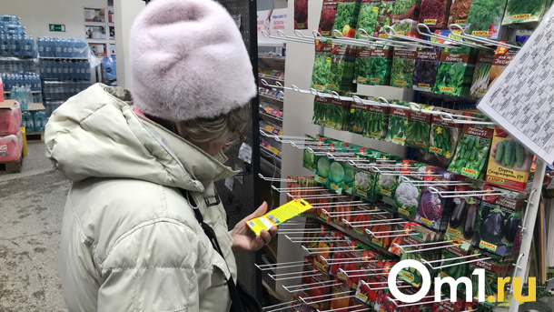 Успеть до лета: какую рассаду посадить в феврале-марте, рассказала новосибирский агроном Шубина