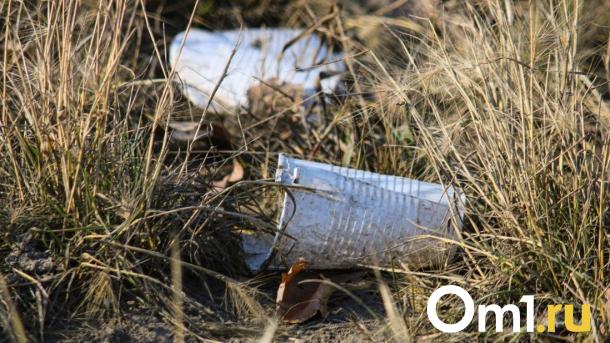 Свалка вновь появилась у озера в микрорайоне Стрижи в Новосибирске