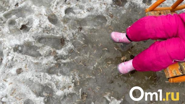 К Омску приближается шквалистый ветер и потепление до +7