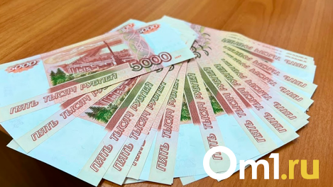 В Госдуме предложили использовать материнский капитал на оплату услуг ЖКХ