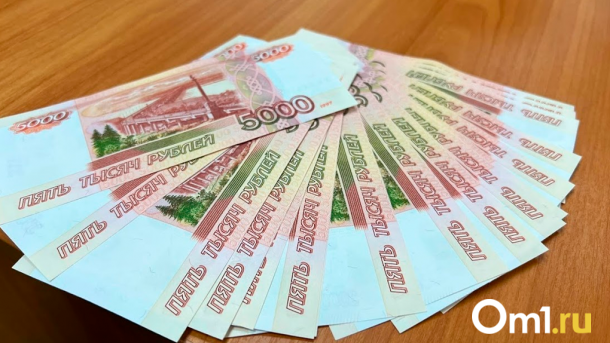 В Госдуме предложили использовать материнский капитал на оплату услуг ЖКХ