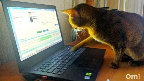 Тест: как расшифровываются странные омские аббревиатуры?