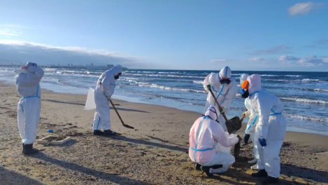 Возможны последствия для здоровья: омский эколог — о том, стоит ли отдыхать в Анапе в 2025 году