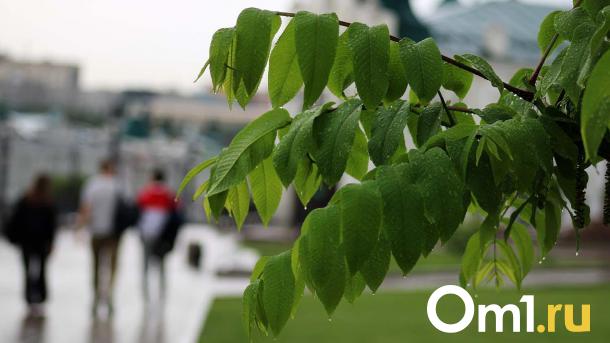 До +27 градусов: омичам рассказали, чего ждать от погоды в выходные