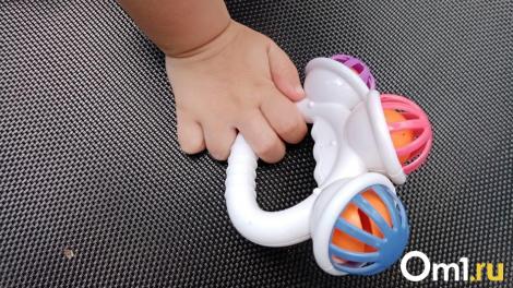 Похитителей материнского капитала осудили в Омской области. Как они обманывали?