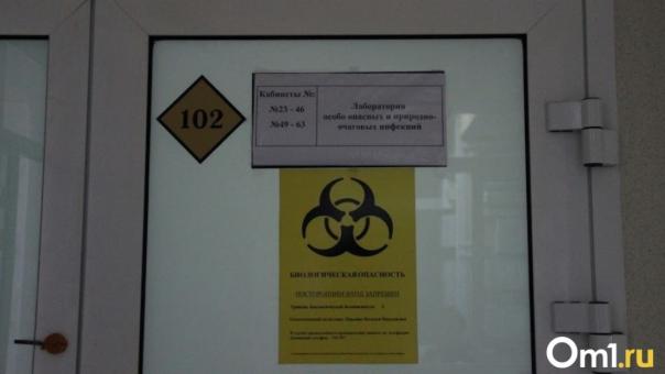 Карантин по бешенству сняли в двух районах Омской области