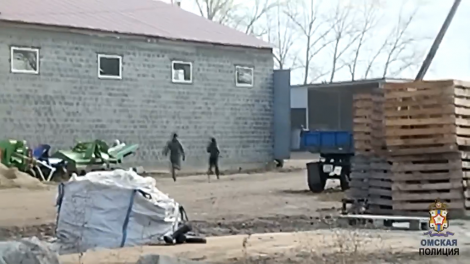 В Омске задержали мигрантов, которые попытались сбежать от полицейских