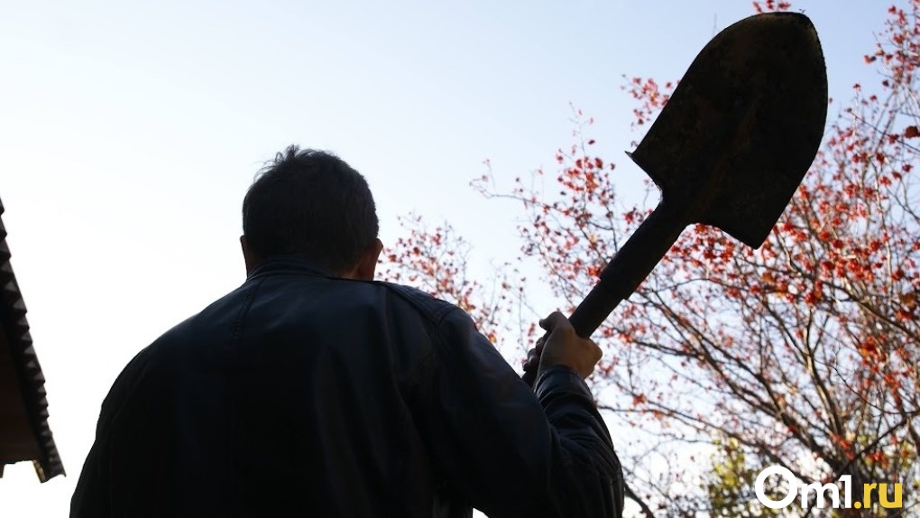 В Омской области мужчина лопатой перешиб руку односельчанину