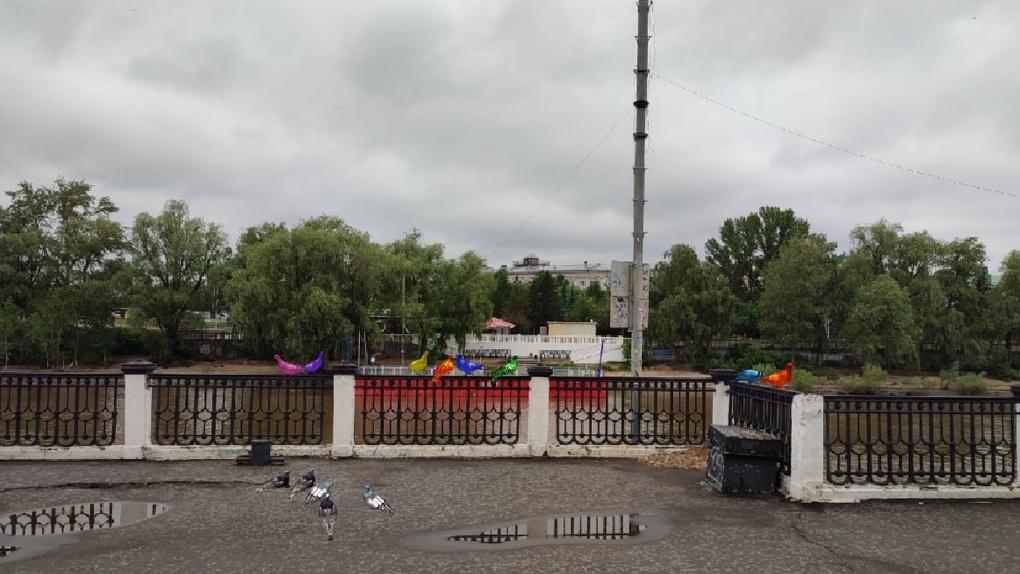 В Омске забраковали идею разноцветных голубей на набережной из-за ассоциаций с ЛГБТ