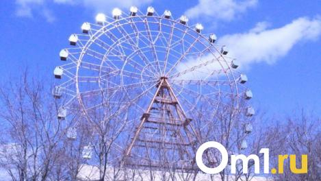 Температурные качели от +17 до +4 ждут новосибирцев на майских праздниках