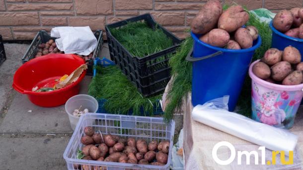 До 400 рублей за ведёрко: омские дачники начали торговать молодой картошкой
