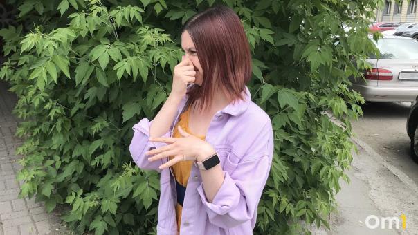 Названы четыре группы источников вони в Новосибирске