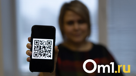 С 21 февраля россияне начнут получать QR-коды по антителам