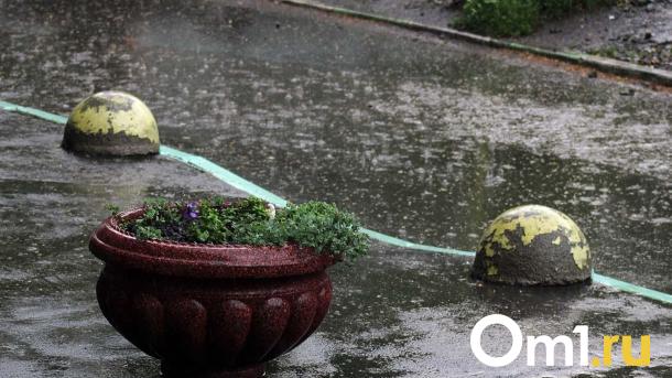 Омичам назвали номера, куда можно обращаться по вопросам откачки воды после ливней