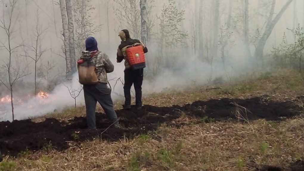 «Может, кто-то окурок бросил?»: в Омской области загорелся лес