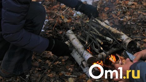 С начала года из-за игр детей с огнём произошло 10 пожаров
