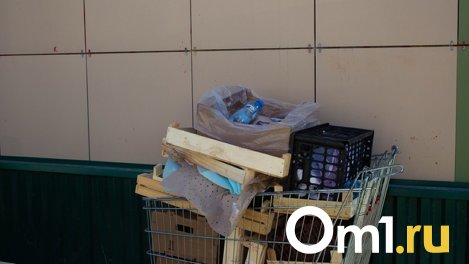 Мэр Анатолий Локоть высказался о мусоре в Новосибирске