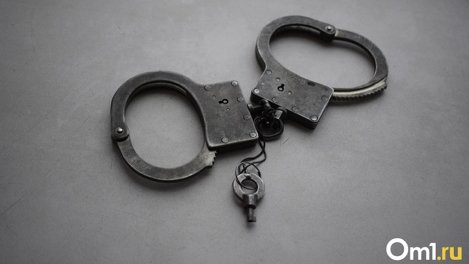 Омич, угнавший иномарку и изнасиловавший её владелицу, может отправиться в колонию на 17 лет