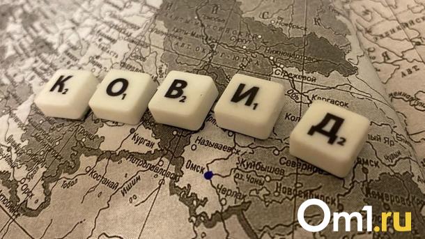 В Омской области зафиксирован всплеск заболеваемости коронавирусом