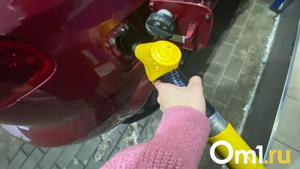 Бензин по талонам? В правительстве Омской области отреагировали на слухи