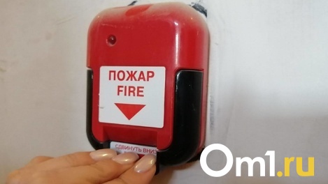 Два человека погибли в пожаре в Новосибирской области