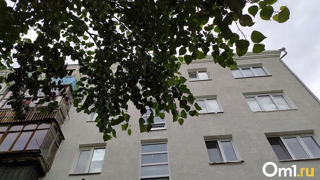 Малыш, получивший черепно-мозговую травму при падении из окна в Омске, начал выздоравливать