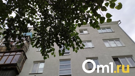 Малыш, получивший черепно-мозговую травму при падении из окна в Омске, начал выздоравливать