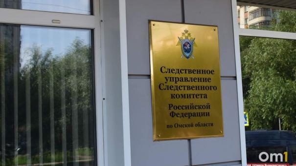 Из-за избиения омской школьницы следователи начали проверку