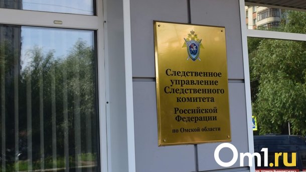 Из-за избиения омской школьницы следователи начали проверку