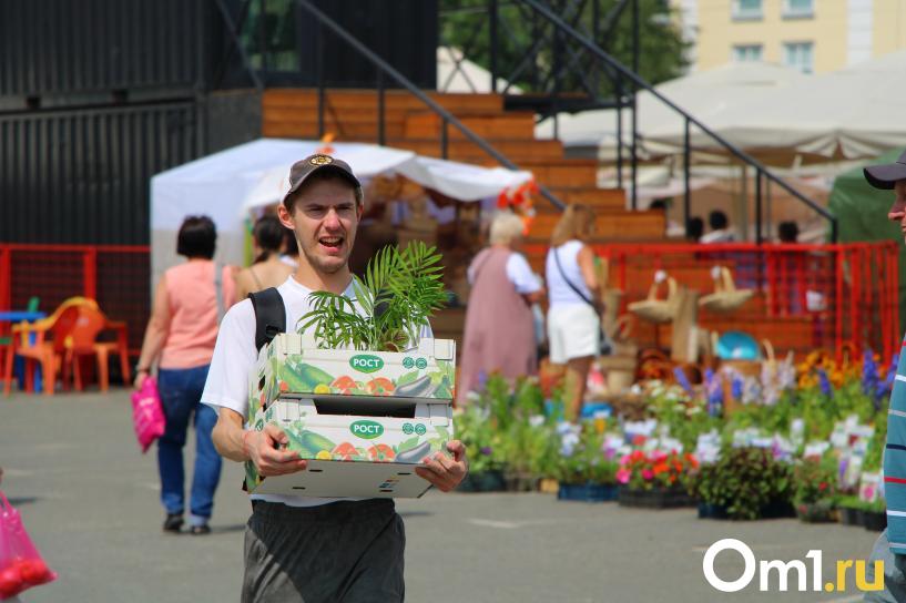 Изображение фоторепортажа