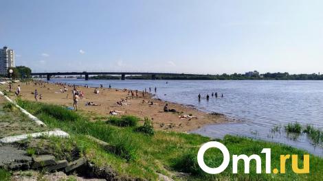 Омские власти намерены регулировать уровень воды в Иртыше с помощью гидроузла