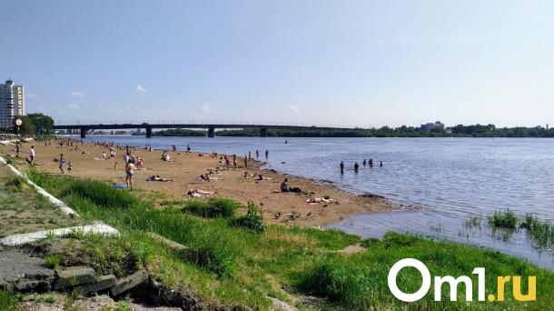 Омские власти намерены регулировать уровень воды в Иртыше с помощью гидроузла