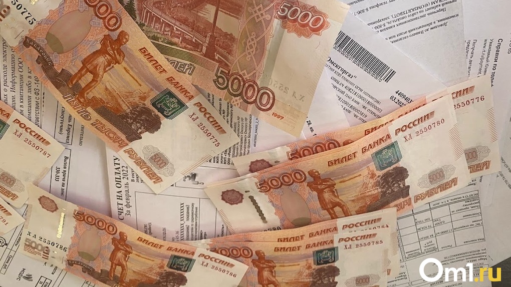 «Разбогатела» на 170 миллионов. Омскую пенсионерку обвинили в мошенничестве с налогами