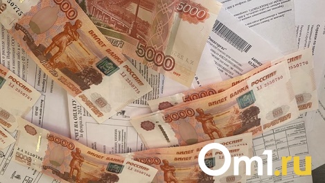 «Разбогатела» на 170 миллионов. Омскую пенсионерку обвинили в мошенничестве с налогами