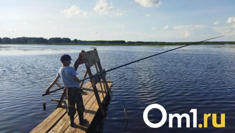 Омич поймал гигантского судака