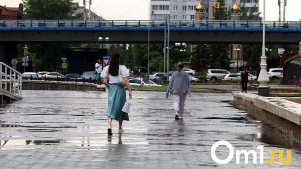 Развязку в центре Омска всё-таки построят. Депутаты выделили деньги