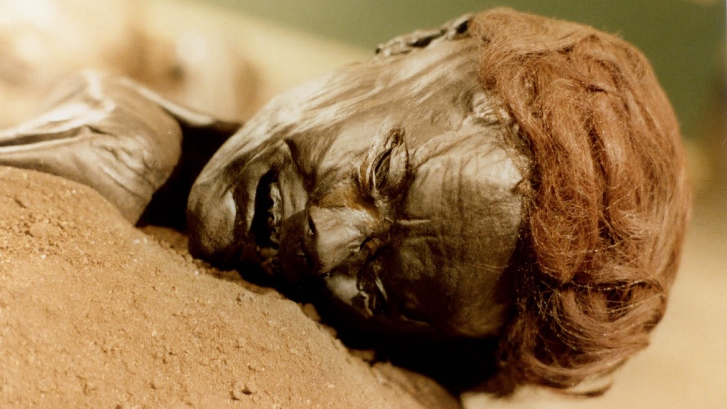 В омской многоэтажке нашли мумию женщины