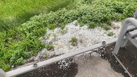 В Омске вандалы выбили стекло остановки у «Птичьей гавани»