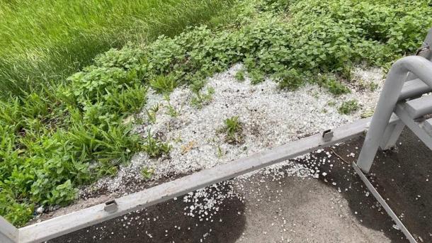 В Омске вандалы выбили стекло остановки у «Птичьей гавани»