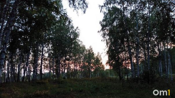 В Омской области зарегистрировано более 2 700 укусов клещей