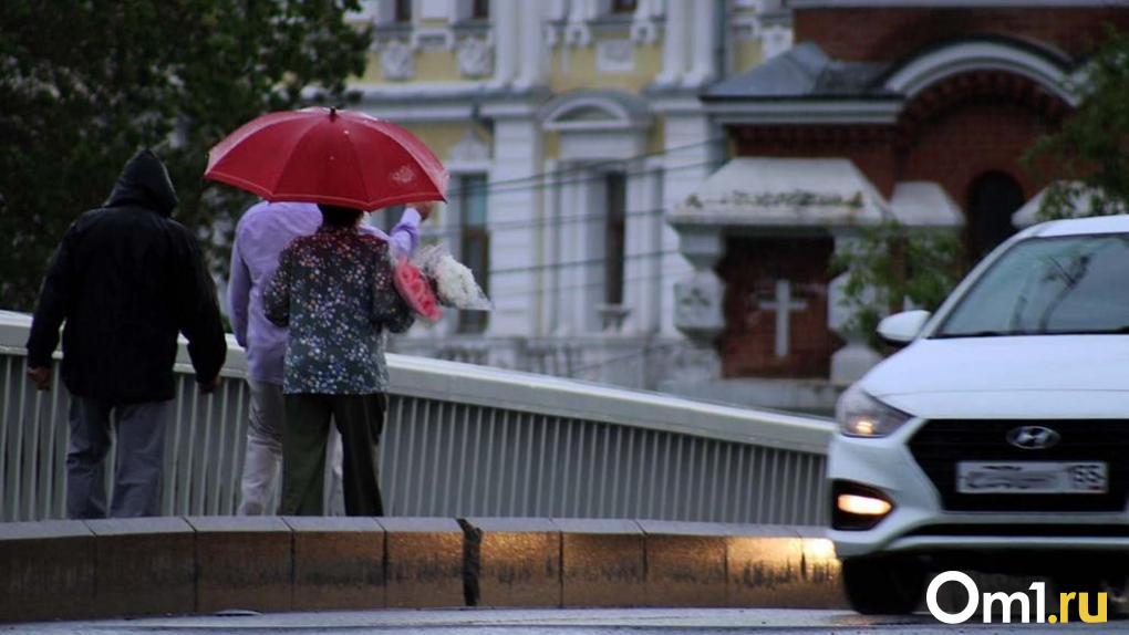 Гроза, град и ливень: на Омскую область надвигается шторм