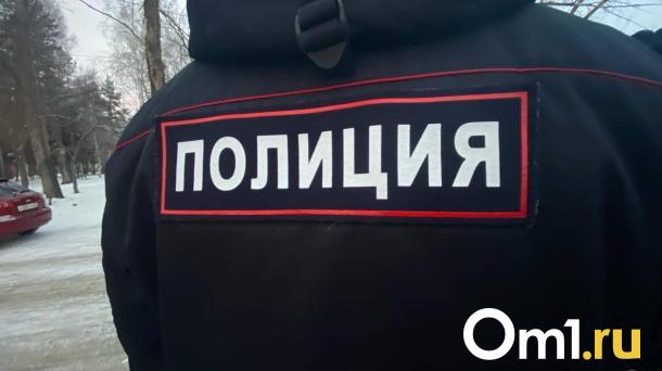 Омича посадили на четыре года из-за нападения на полицейского с ножом
