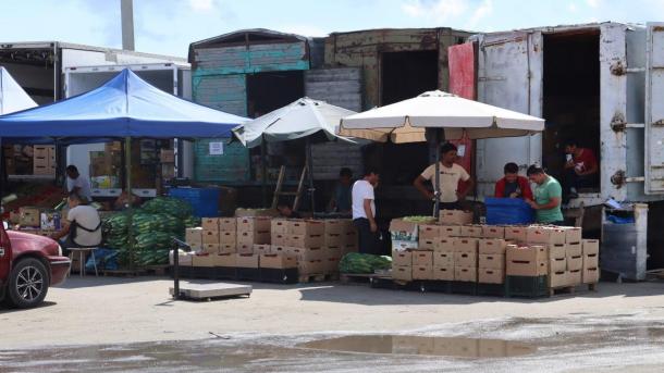 Мигрантов предложили ежегодно проверять на наркотики и болезни, это касается и Новосибирска