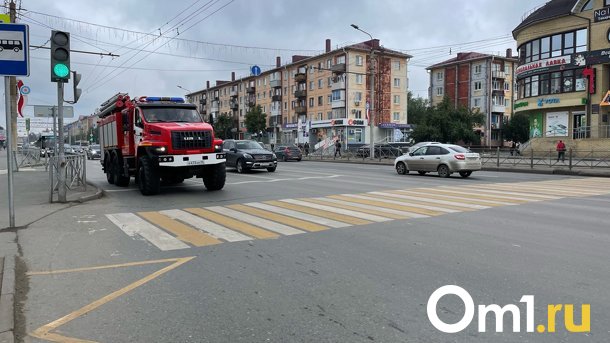 С начала года в Омской области сгорело 139 машин