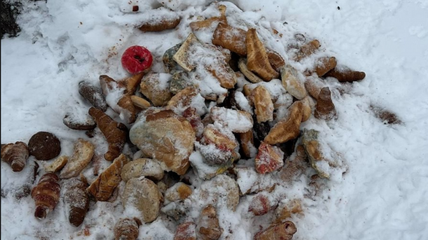 Любители животных закидали просрочкой парк Кольцово под Новосибирском