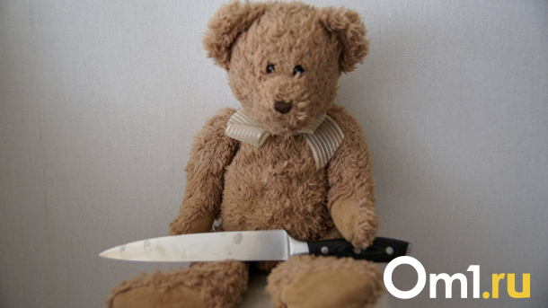 В Новосибирской области 10-летний мальчик ударил ножом в живот ровесника