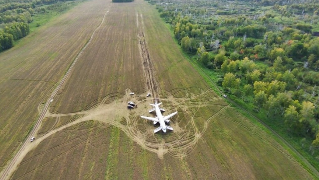 «Уральские авиалинии» возместят ущерб за повреждённое самолётом пшеничное поле
