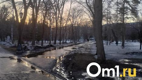 В Омске растаяла уже половина снежного покрова